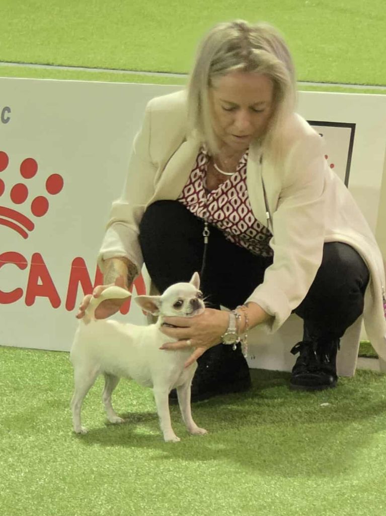 Valhalla de la Vallée des Aymaras